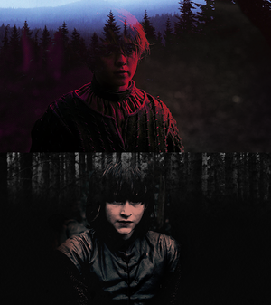  Arya & Bran Stark