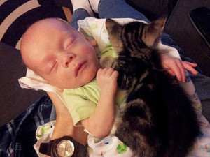  Baby And A Kitten Cuddling Together