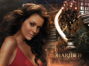 Charmed in the House of Magic 2