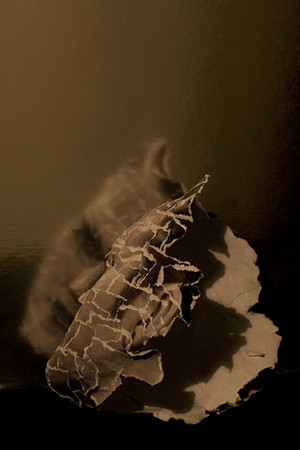  "In The Spotlight" - Photosculpture of Clint Catalyst oleh David Meanix