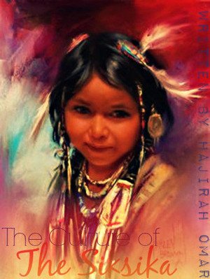  Native American project cover
