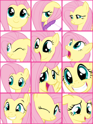  Fluttershy Faces アイコン