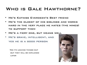  Why Gale is Important (1)