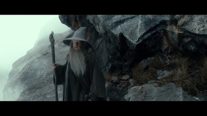  Gandalf the Grey - The Hobbit: The Desolation of Smaug