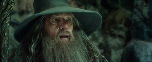 Gandalf the Grey - The Hobbit: The Desolation of Smaug