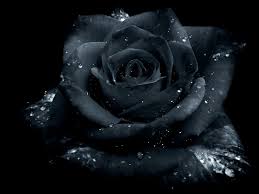 Gothic rose