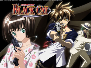  Black Cat アニメ