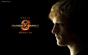  The Hunger Games: Catching api wallpaper