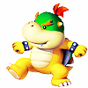  Baby Bowser