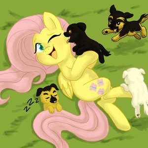  Fluttershy with chó con