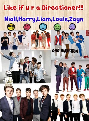 Comment if your a directioner