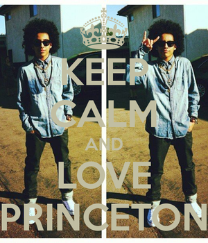  Princeton2