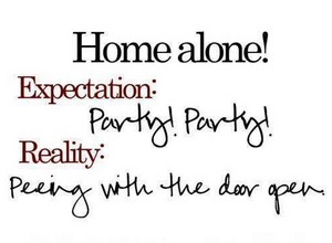  घर alone!
