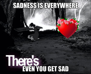  Sadness