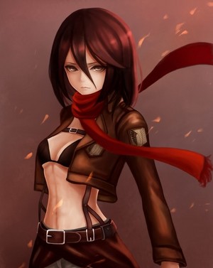 Mikasa                                         