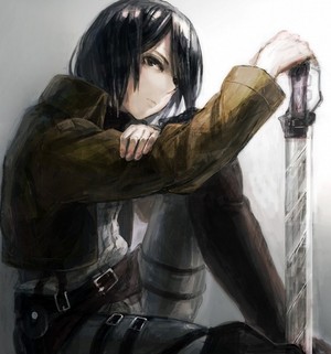 Mikasa                                                  