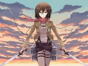 Mikasa                                                     
