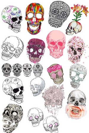 Flowers/Skulls
