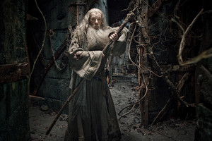  The Hobbit: The Desolation of Smaug [HD] imágenes