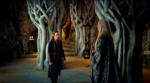  The Hobbit: The Desolation of Smaug [HD] 画像