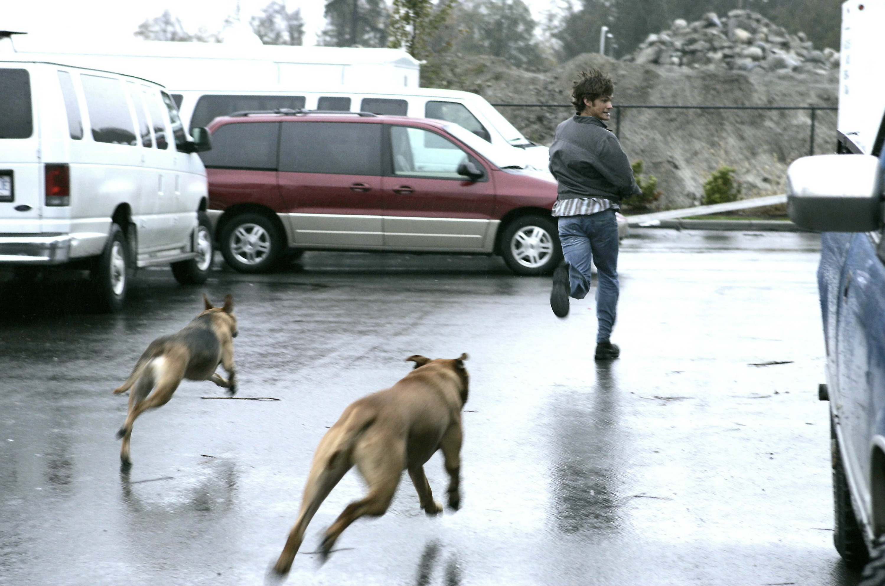 Валера бежит за щенком со скоростью