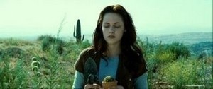  Bella zwaan-, zwaan with her small cactus in Twilight