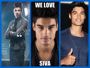 We amor Siva