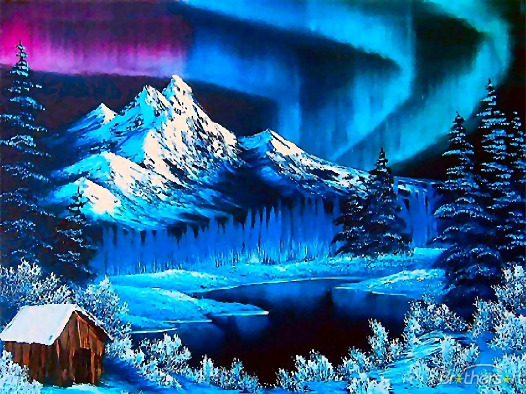 Northern Lights During the Winter Wallpaper