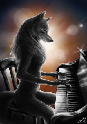  chó sói, sói playing đàn piano