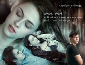  Bella, Edward and Jacob 팬 art