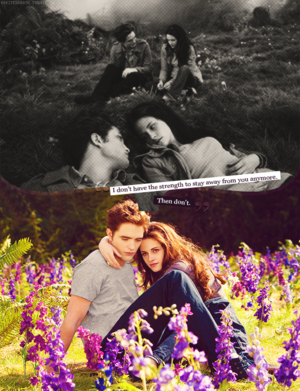 Edward and Bella's meadow 
