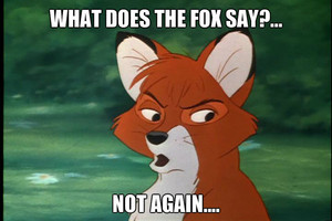  what does the zorro, fox say