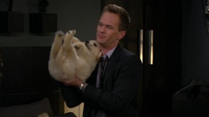  Barney holding anak anjing, anjing