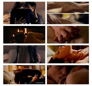 Bella and Edward's sex scenes 