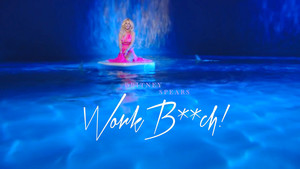  Britney Spears Work B**ch !