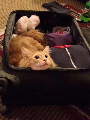  All Packed And Ready To Go