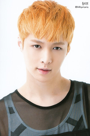  Lay (POP UP STORE PHOTOCARDS)