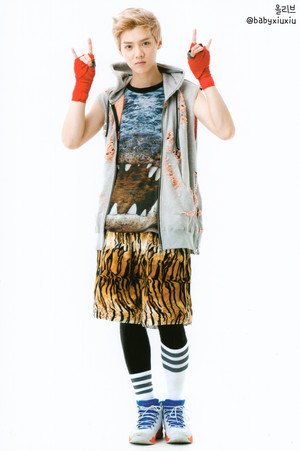  Luhan (POP UP STORE PHOTOCARDS)