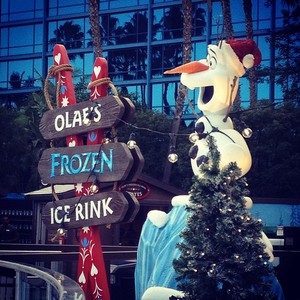  Olaf's Ice Rink