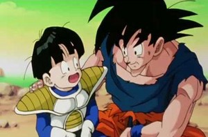  Gohan & Goku