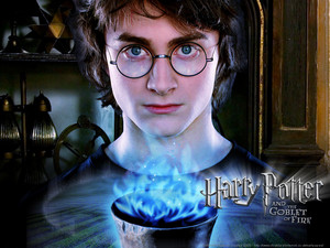 THE GOBLET OF FIRE