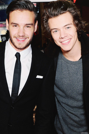  Liam And Harry♥