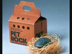  The Pet Rock