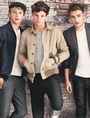  Niall Louis and Liam