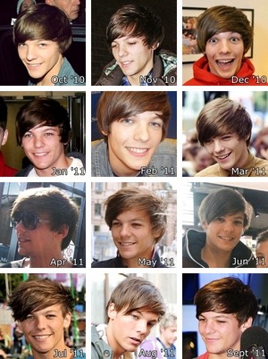  Louis' hair through the ages