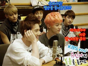  130621 KBS-R Cool FM Yoo Inna's Volume Up