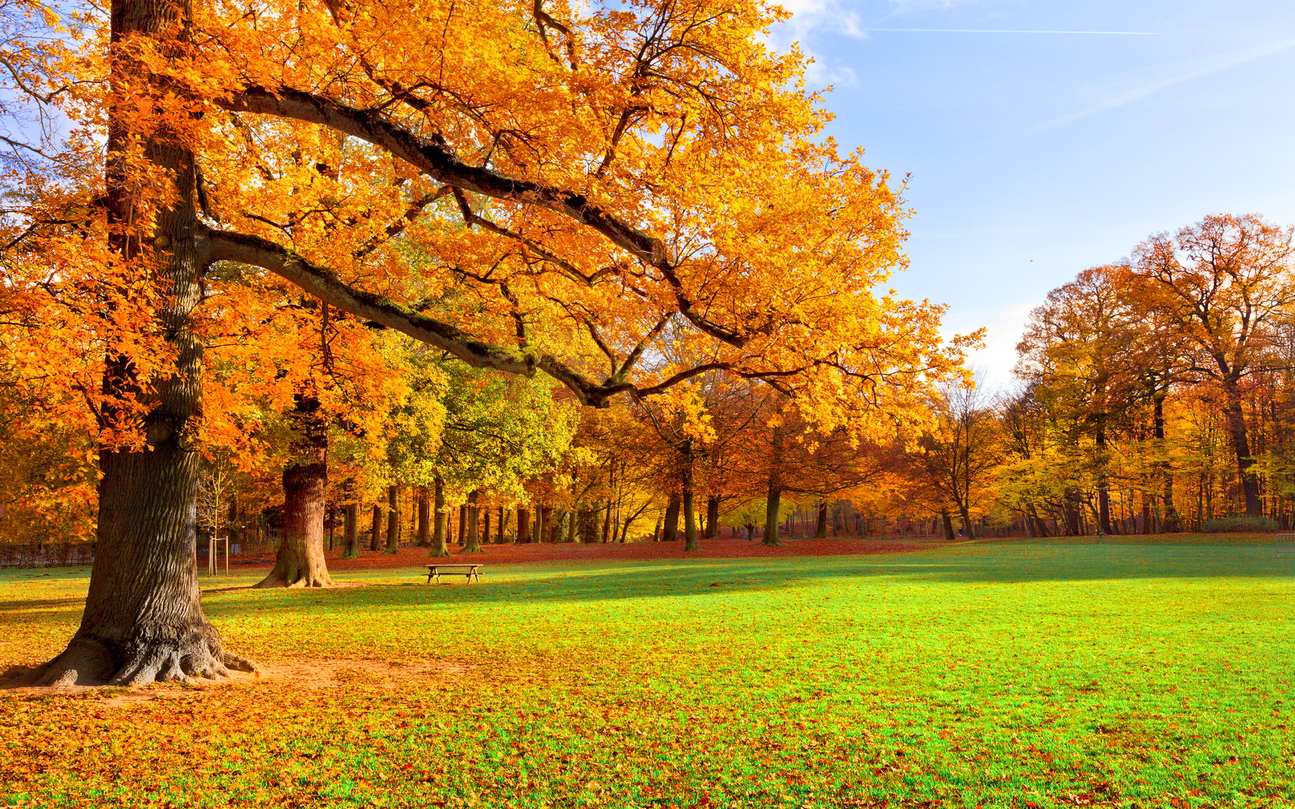 Autumn Season - Nature's Seasons Photo (36241626) - Fanpop