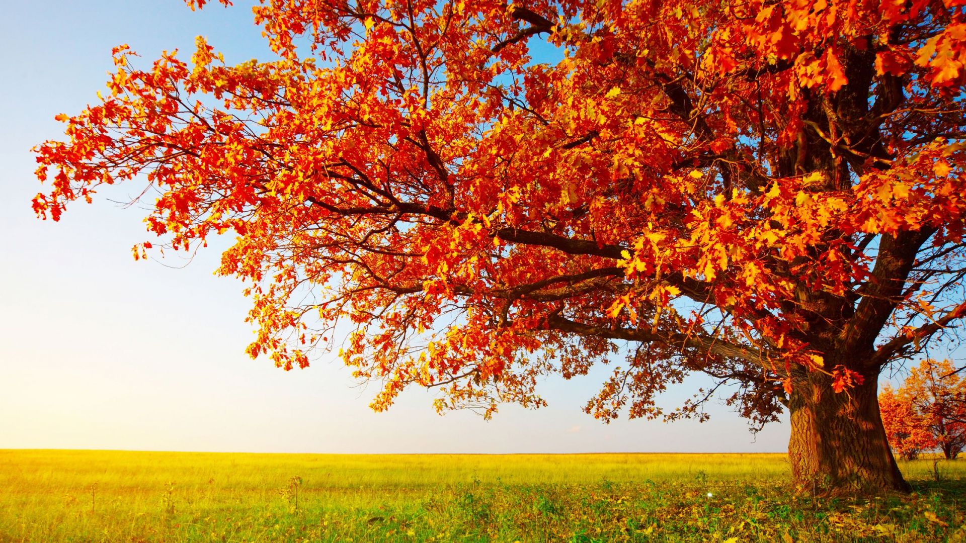 Autumn Season - Nature's Seasons Photo (36241704) - Fanpop