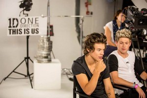  Harry and Niall<3