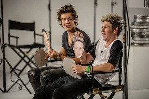  Harry and Niall<3